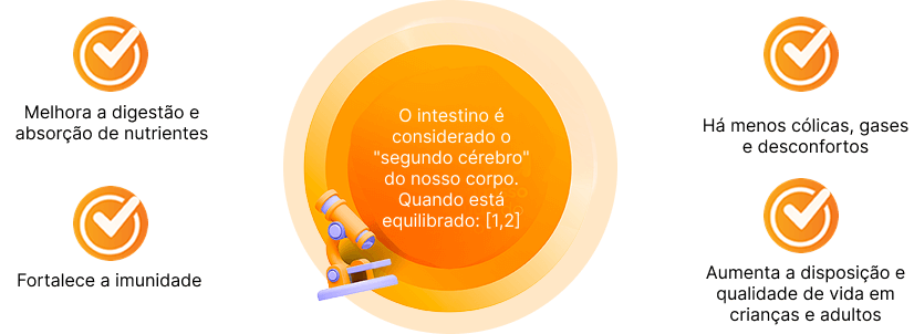 Banner de imagens da lp de provance