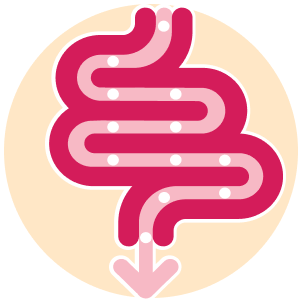 ilustração do instestino